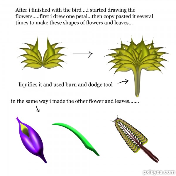 Creation of Humming Bird: Step 4